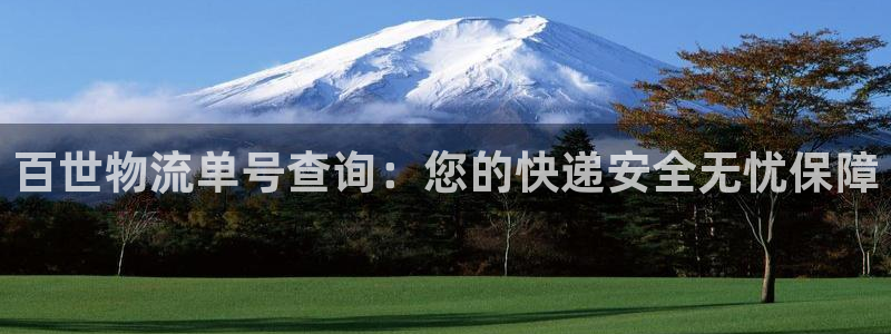 28圈官方平臺:百世物流單號查詢:您