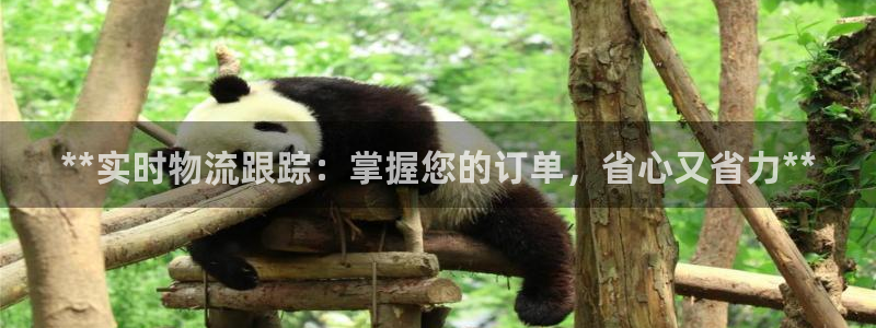 28圈登錄網：**實時物流跟蹤：掌握您的訂單，省心又省力**