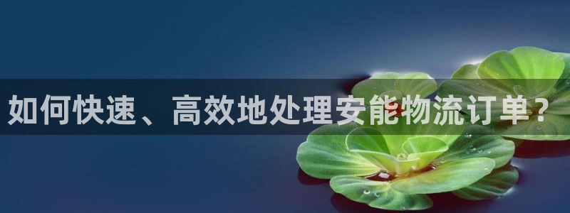 28圈加拿大技巧:如何快速、高效地處