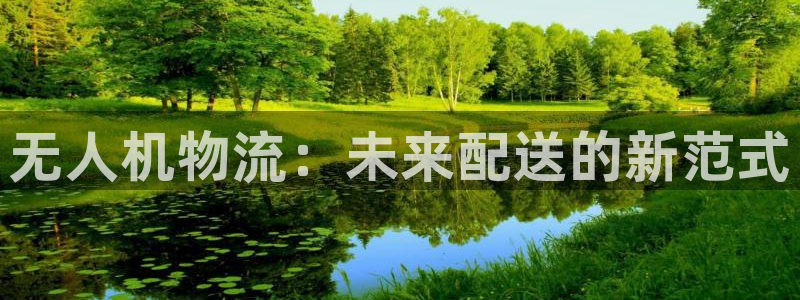 28圈軟件:無人機(jī)物流:未來配送的新