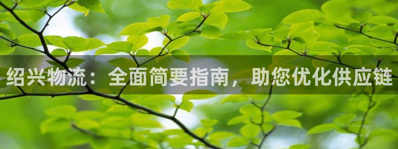 28圈注冊(cè)流程：紹興物流：全面簡(jiǎn)要指