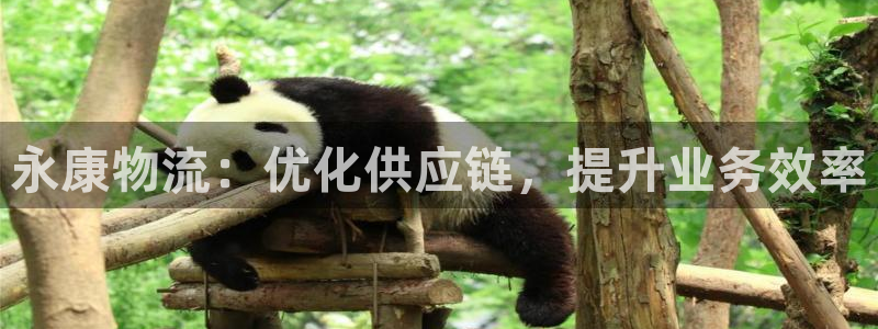 28圈ip被限制怎么解決：永康物流：