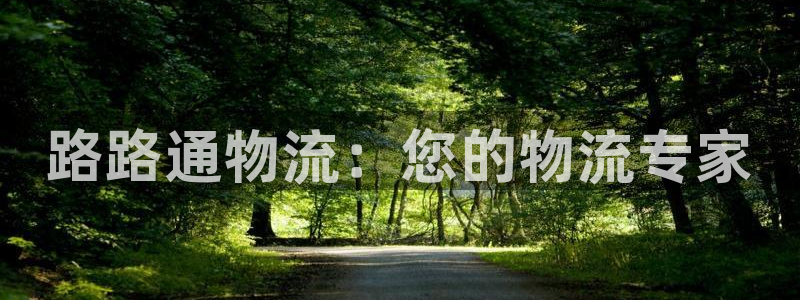 28圈注冊與教程：路路通物流：您的物