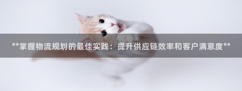 28圈官網多少：**掌握物流規劃的最