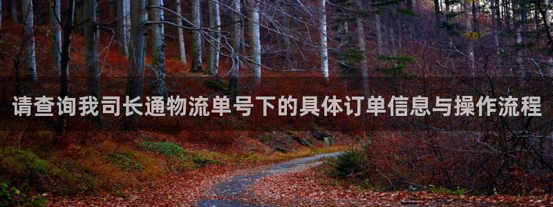 28圈如何看計劃：請查詢我司長通物流