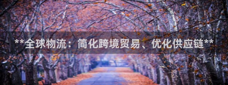 28圈連輸10天：**全球物流：簡化