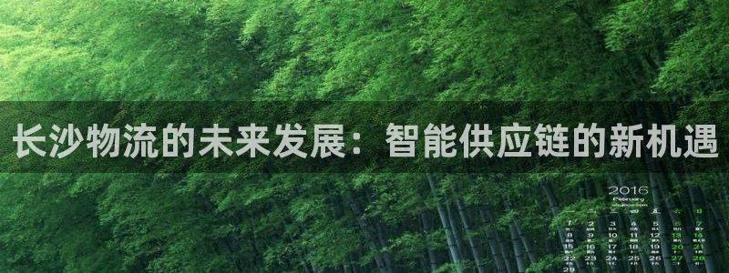 28圈加拿大最新版：長沙物流的未來發
