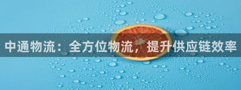 28圈模擬器在線玩：中通物流：全方位