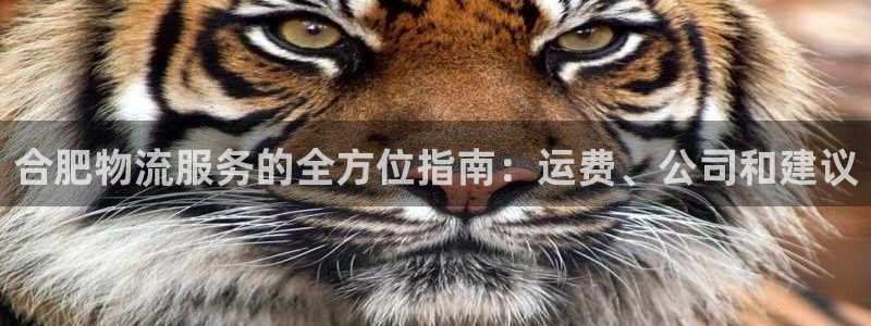 28圈選28ng官網：合肥物流服務的