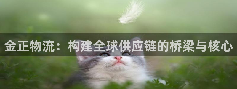 28圈鏈接:金正物流:構建全球供應鏈