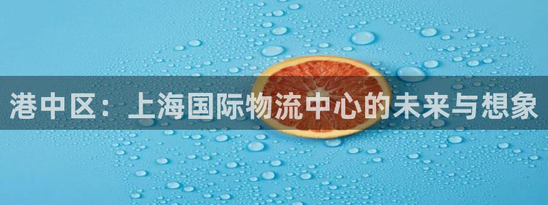 28圈注冊號:港中區:上海國際物流中