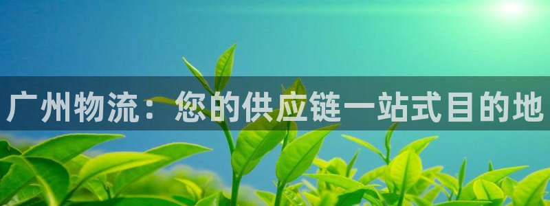 28圈充值不處理怎么辦：廣州物流：您