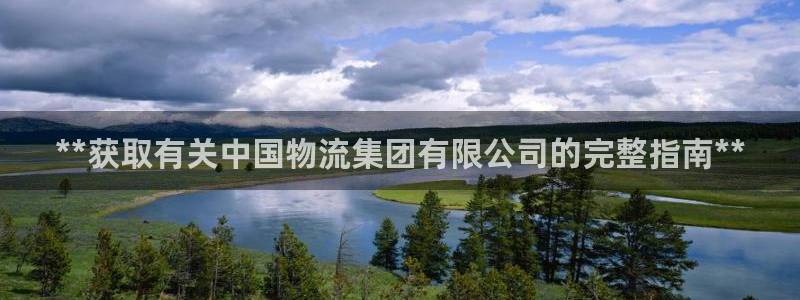 28圈充值：**獲取有關中國物流集團