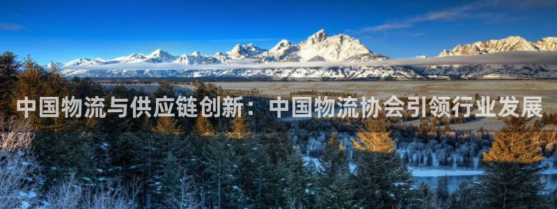 28圈預測加拿大師準